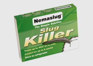 Nemaslug